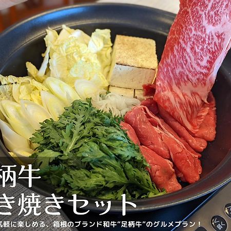 和光荘 Harmonious Light West Villa Hakone Eksteriør billede